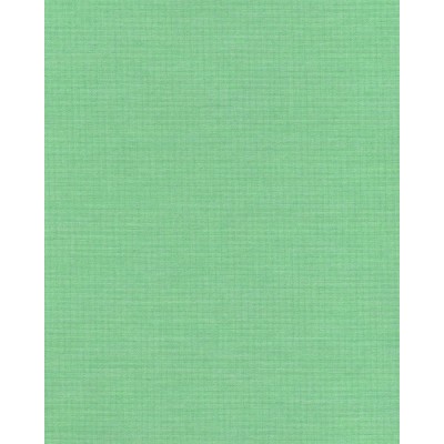 Ролеты тканевые Ара цвет зеленый 1001